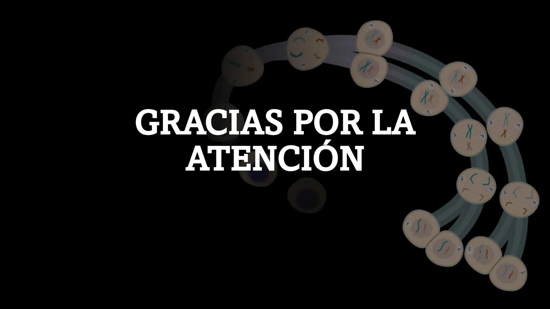# MEIOSIS Definición
• La meiosis es un proceso de división
celular en el que una célula con dos
juegos de cromosomas (diploide) se
divide p