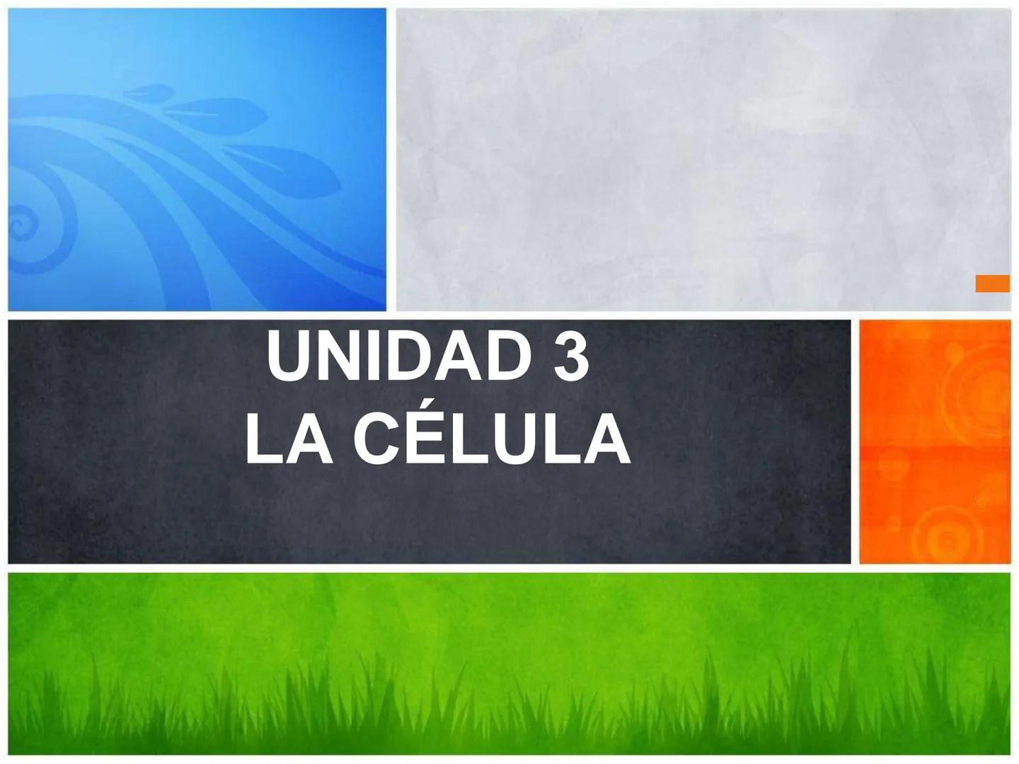 ## UNIDAD 3
## LA CÉLULA 3.1 Y 3.2
DEFINICIÓN Y TEORÍA CELULAR 3.1 Definición
Todos los seres vivos están constituidos por una o
más células