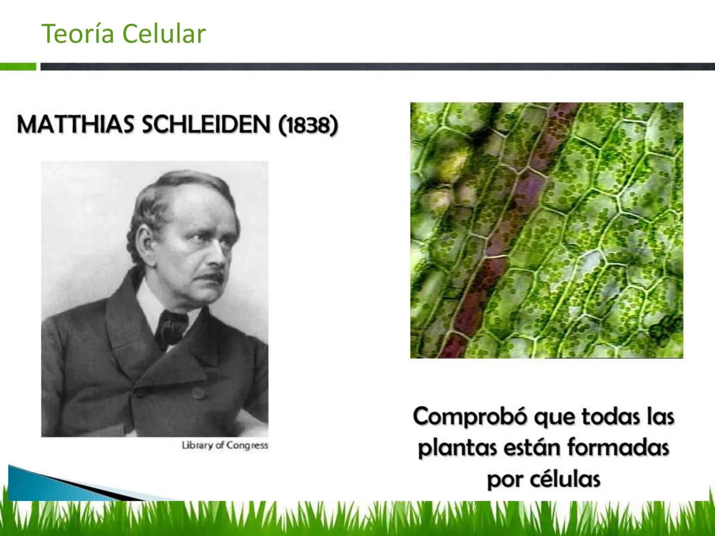## UNIDAD 3
## LA CÉLULA 3.1 Y 3.2
DEFINICIÓN Y TEORÍA CELULAR 3.1 Definición
Todos los seres vivos están constituidos por una o
más células