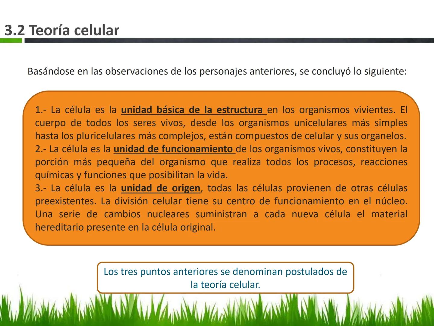 ## UNIDAD 3
## LA CÉLULA 3.1 Y 3.2
DEFINICIÓN Y TEORÍA CELULAR 3.1 Definición
Todos los seres vivos están constituidos por una o
más células