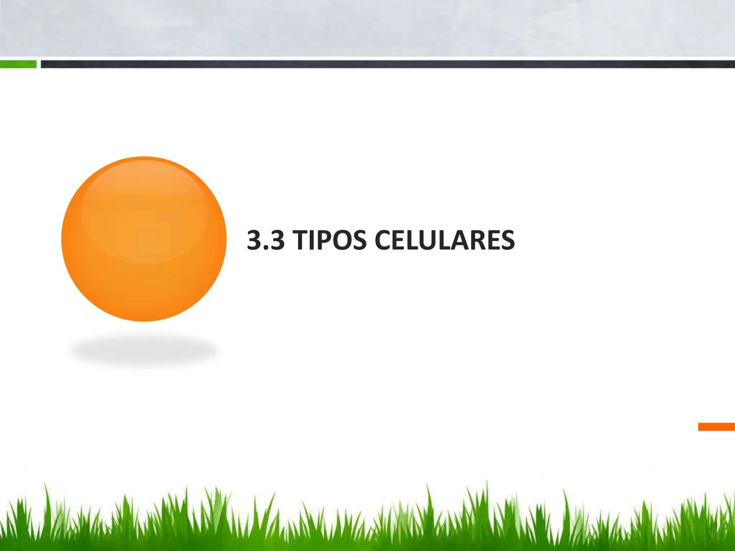 ## UNIDAD 3
## LA CÉLULA 3.1 Y 3.2
DEFINICIÓN Y TEORÍA CELULAR 3.1 Definición
Todos los seres vivos están constituidos por una o
más células