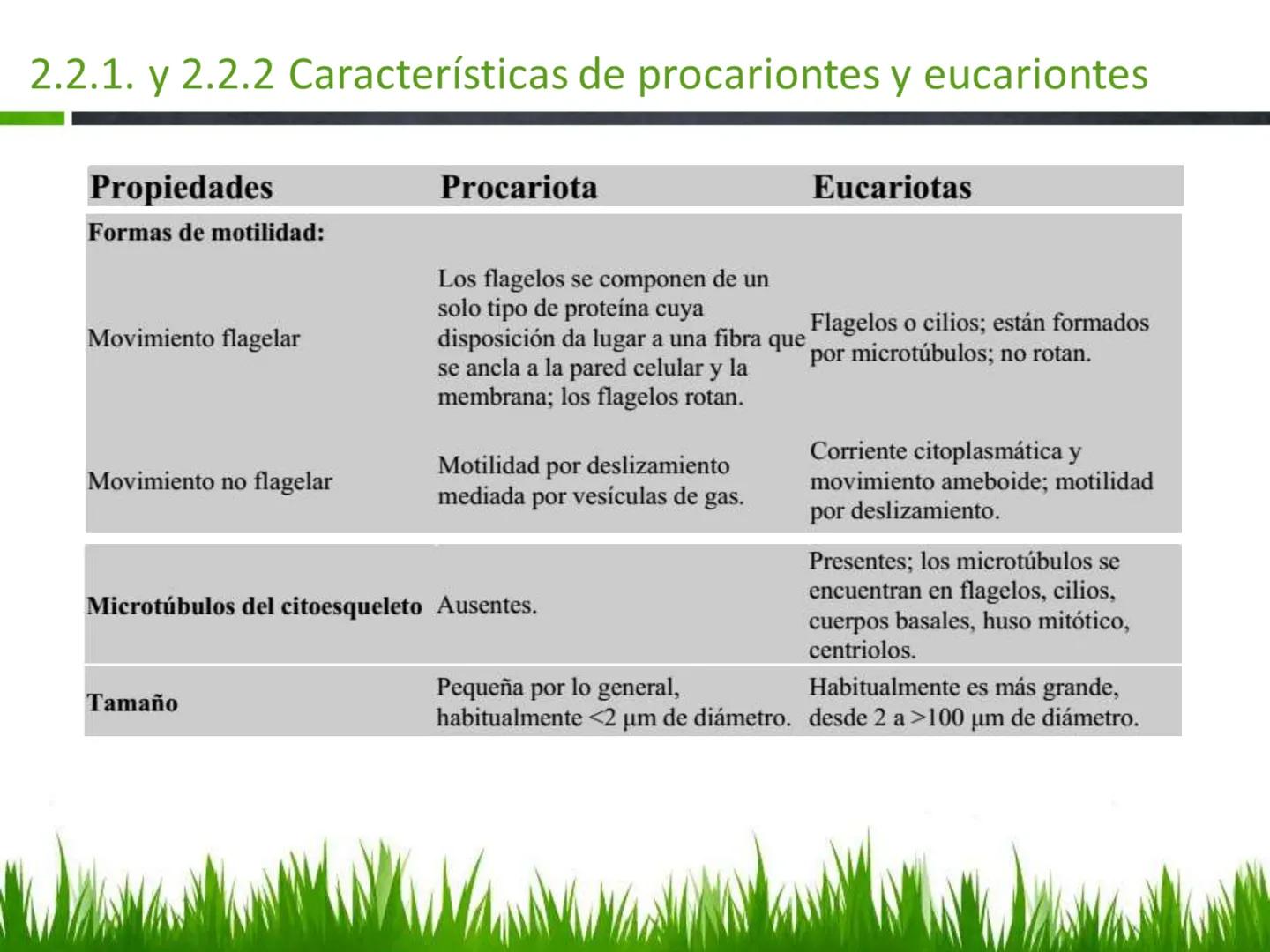 ## UNIDAD 3
## LA CÉLULA 3.1 Y 3.2
DEFINICIÓN Y TEORÍA CELULAR 3.1 Definición
Todos los seres vivos están constituidos por una o
más células