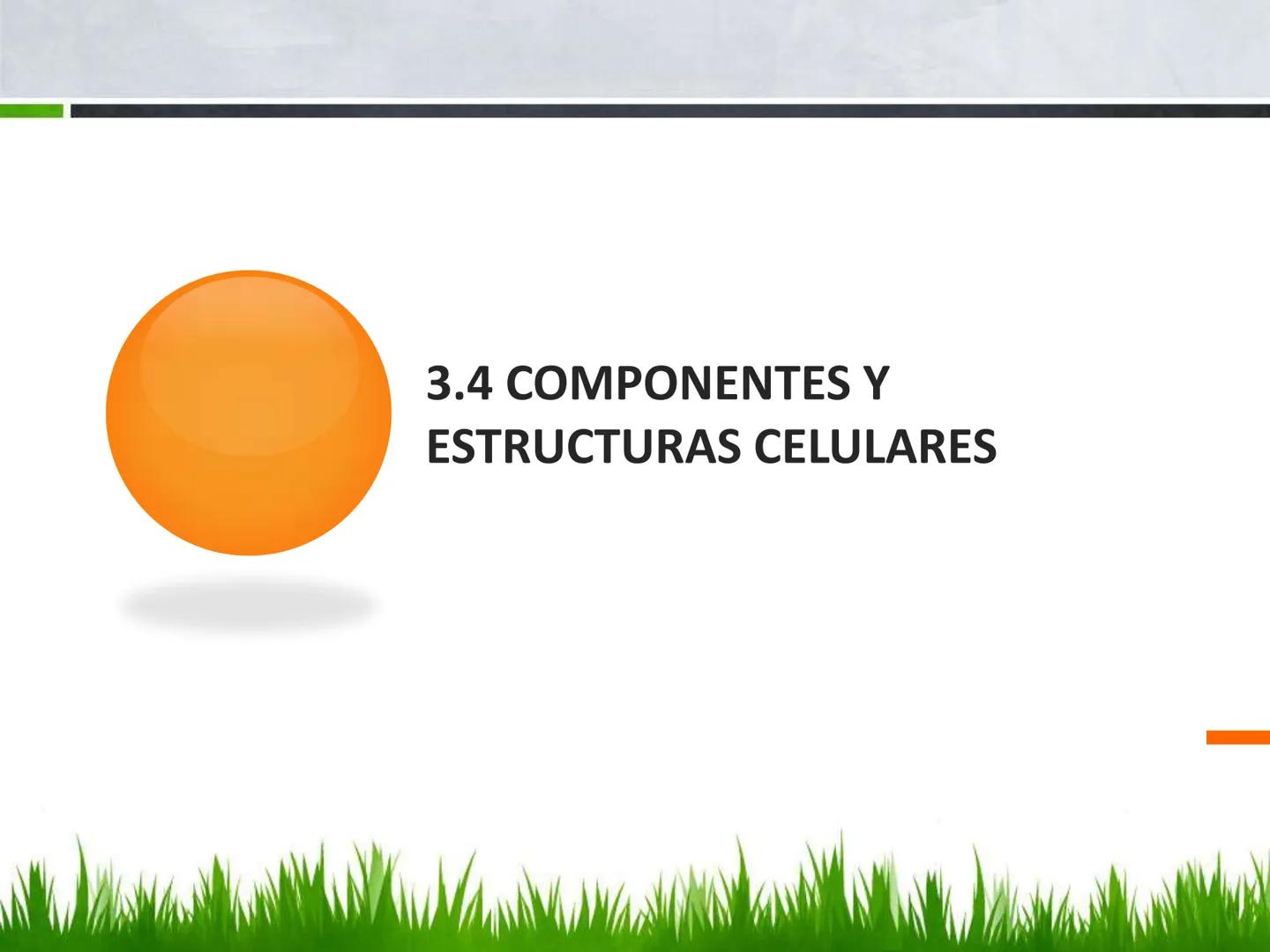 ## UNIDAD 3
## LA CÉLULA 3.1 Y 3.2
DEFINICIÓN Y TEORÍA CELULAR 3.1 Definición
Todos los seres vivos están constituidos por una o
más células