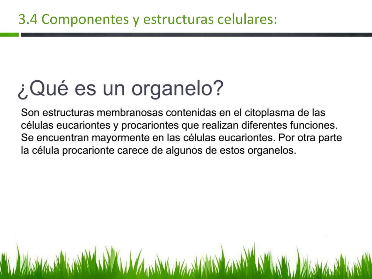 ## UNIDAD 3
## LA CÉLULA 3.1 Y 3.2
DEFINICIÓN Y TEORÍA CELULAR 3.1 Definición
Todos los seres vivos están constituidos por una o
más células