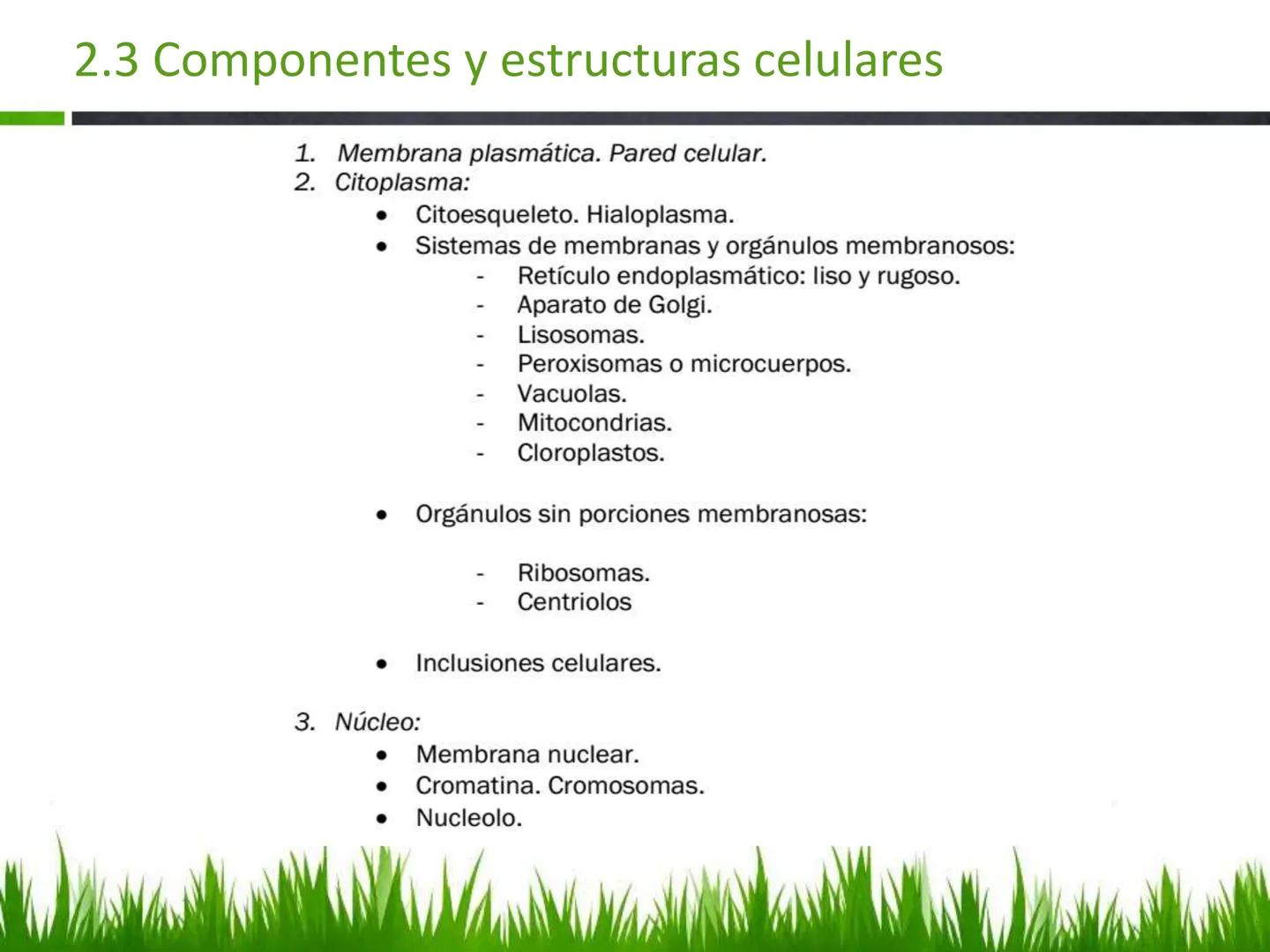 ## UNIDAD 3
## LA CÉLULA 3.1 Y 3.2
DEFINICIÓN Y TEORÍA CELULAR 3.1 Definición
Todos los seres vivos están constituidos por una o
más células