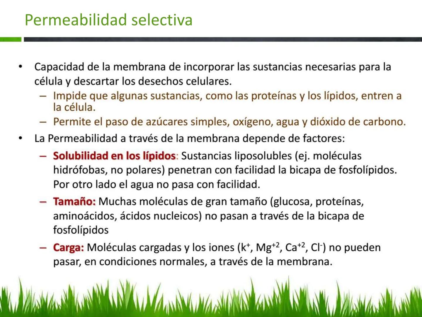 ## UNIDAD 3
## LA CÉLULA 3.1 Y 3.2
DEFINICIÓN Y TEORÍA CELULAR 3.1 Definición
Todos los seres vivos están constituidos por una o
más células