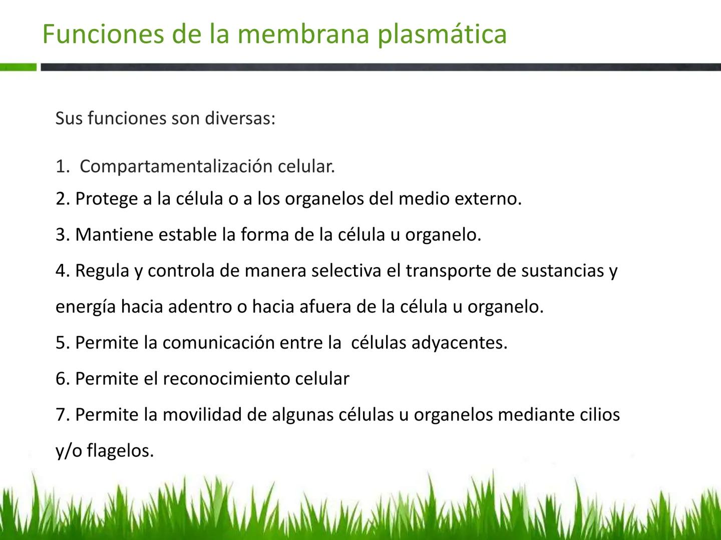 ## UNIDAD 3
## LA CÉLULA 3.1 Y 3.2
DEFINICIÓN Y TEORÍA CELULAR 3.1 Definición
Todos los seres vivos están constituidos por una o
más células