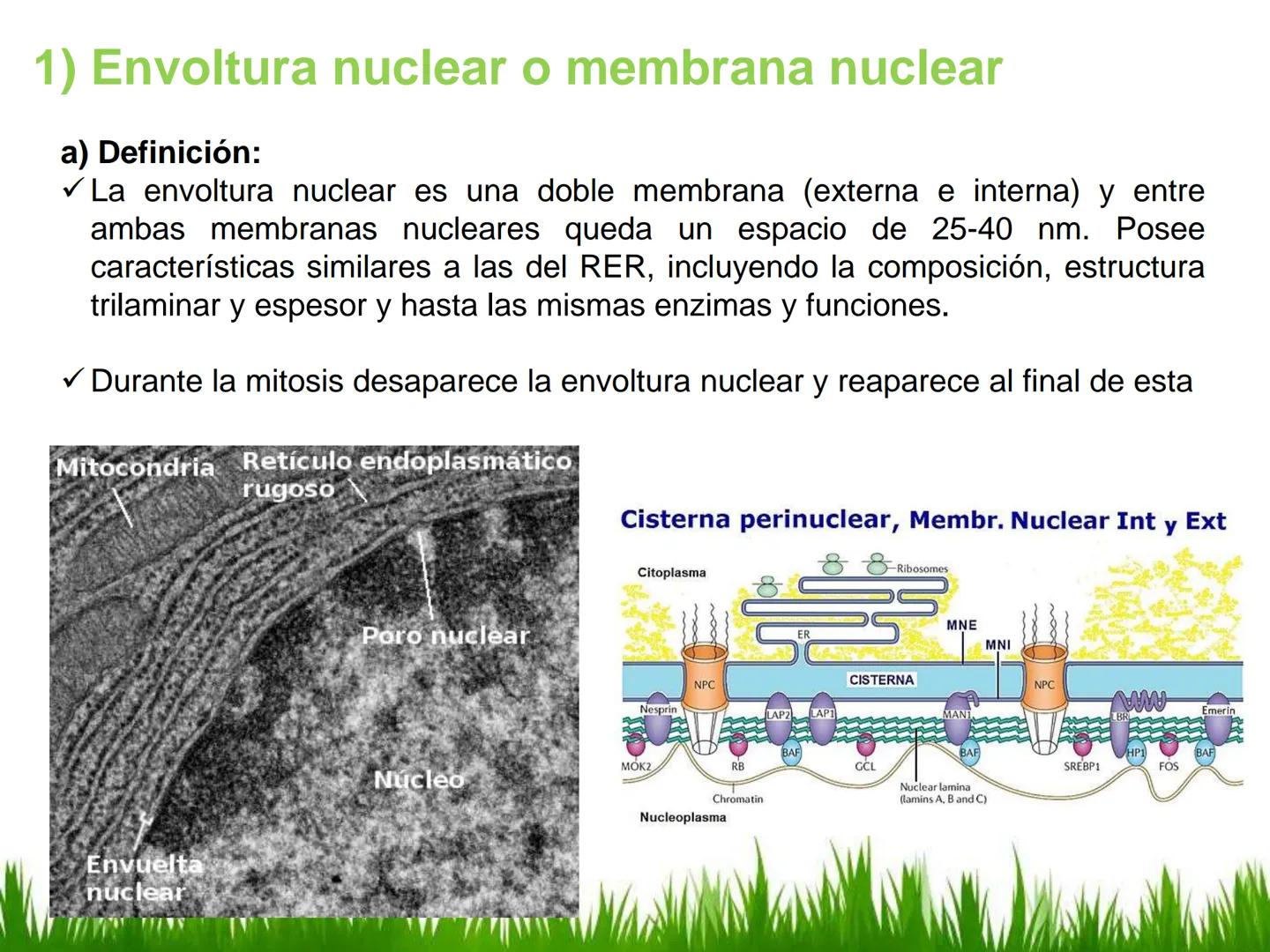 ## UNIDAD 3
## LA CÉLULA 3.1 Y 3.2
DEFINICIÓN Y TEORÍA CELULAR 3.1 Definición
Todos los seres vivos están constituidos por una o
más células