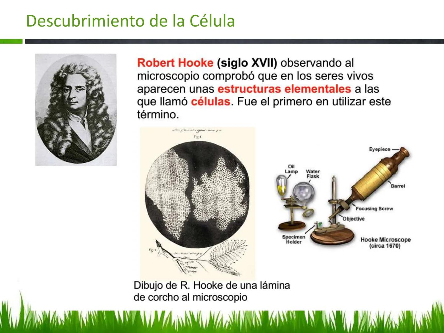 ## UNIDAD 3
## LA CÉLULA 3.1 Y 3.2
DEFINICIÓN Y TEORÍA CELULAR 3.1 Definición
Todos los seres vivos están constituidos por una o
más células