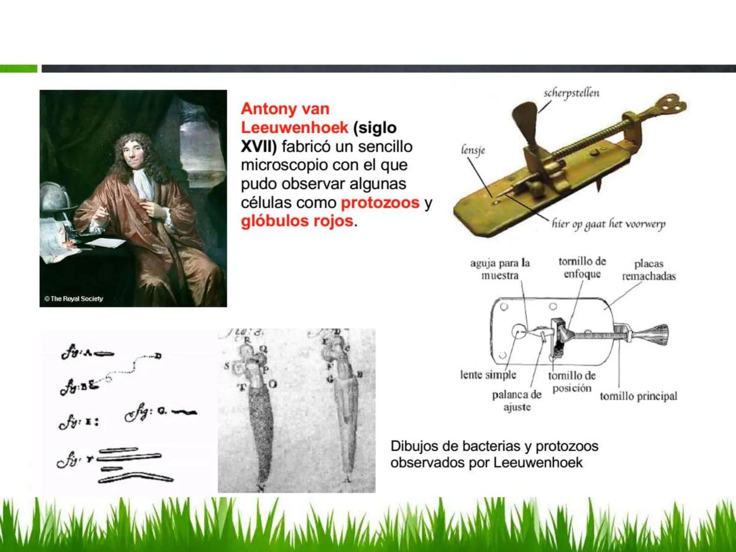 ## UNIDAD 3
## LA CÉLULA 3.1 Y 3.2
DEFINICIÓN Y TEORÍA CELULAR 3.1 Definición
Todos los seres vivos están constituidos por una o
más células