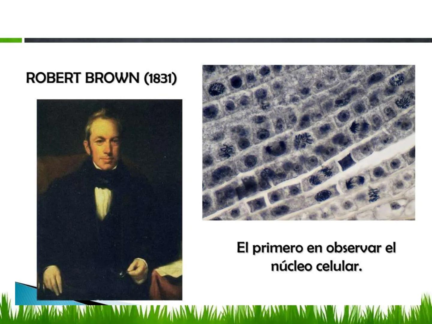 ## UNIDAD 3
## LA CÉLULA 3.1 Y 3.2
DEFINICIÓN Y TEORÍA CELULAR 3.1 Definición
Todos los seres vivos están constituidos por una o
más células