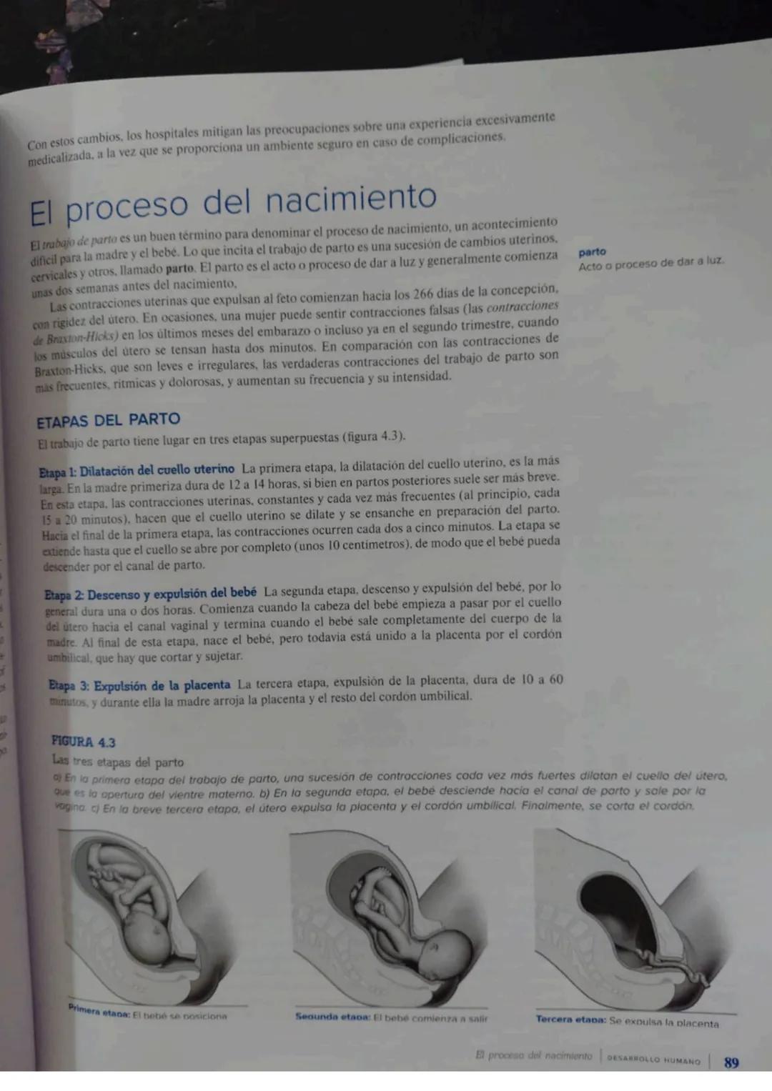 Con estos cambios, los hospitales mitigan las preocupaciones sobre una experiencia excesivamente
medicalizada, a la vez que se proporciona u