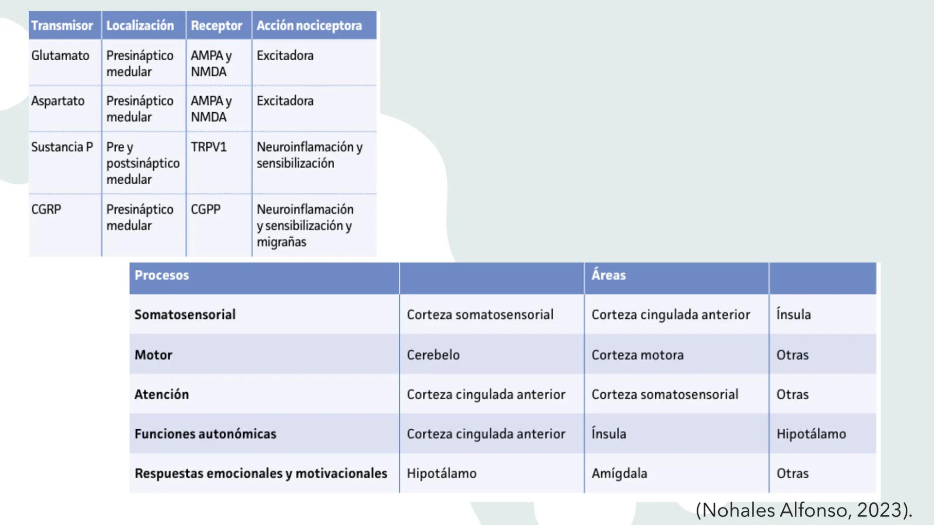 # DOLOR
L.FT. MAGALI SANTIAGO ESCAMILLA Existen 3 tipos de estímulos que excitan los
receptores para el dolor:
MECÁNICOS
TÉRMICOS
QUÍMIC