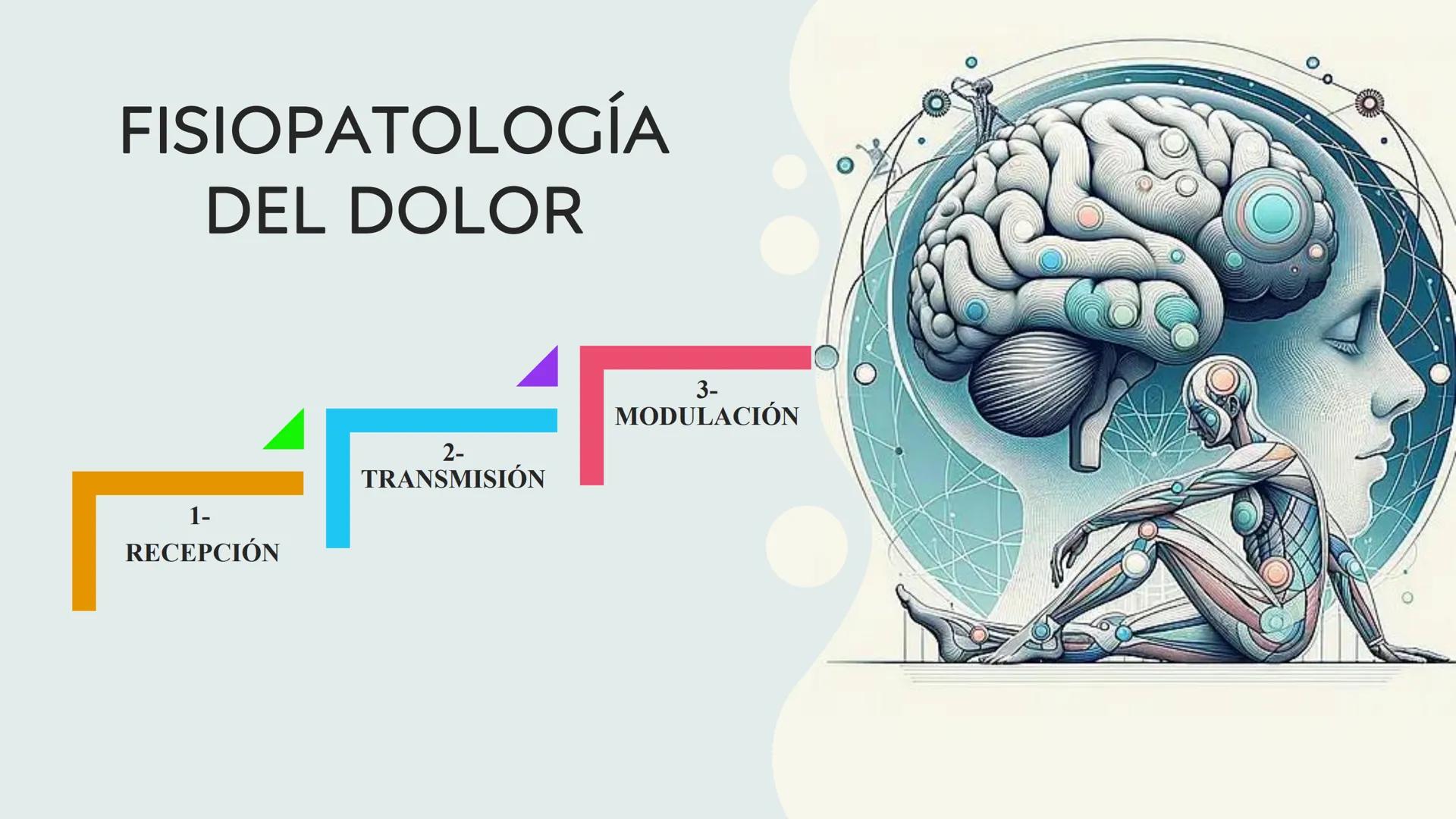# DOLOR
L.FT. MAGALI SANTIAGO ESCAMILLA Existen 3 tipos de estímulos que excitan los
receptores para el dolor:
MECÁNICOS
TÉRMICOS
QUÍMIC