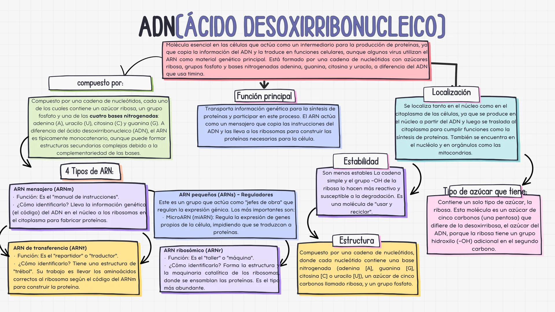 # ADNCÁCIDO DESOXIRRIBONUCLEICO)
Molécula esencial en las células que actúa como un intermediario para la producción de proteínas, ya
que c