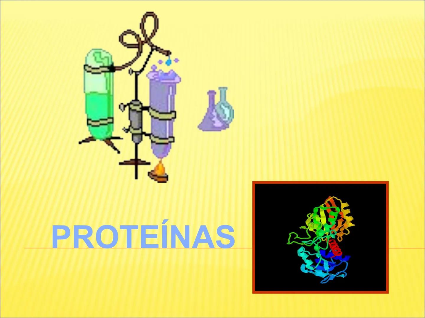 # PROTEÍNAS GENERALIDADES Las proteínas
están formadas por unidades básicas
que corresponden a los aminoácidos, los cuales
se unen entre