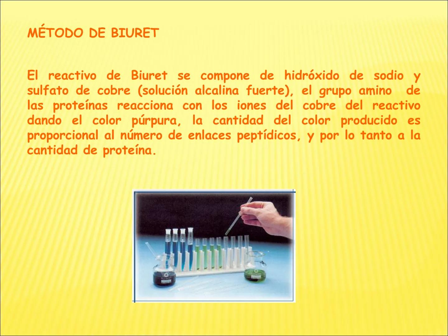# PROTEÍNAS GENERALIDADES Las proteínas
están formadas por unidades básicas
que corresponden a los aminoácidos, los cuales
se unen entre