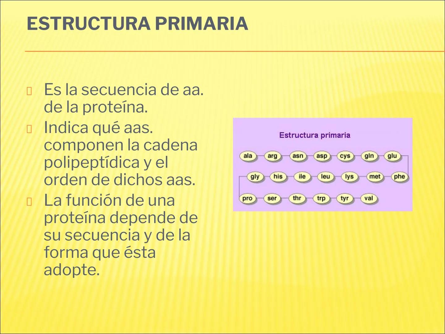 # PROTEÍNAS GENERALIDADES Las proteínas
están formadas por unidades básicas
que corresponden a los aminoácidos, los cuales
se unen entre