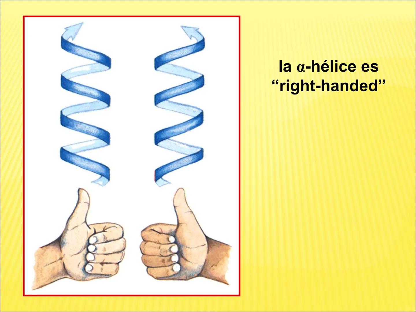 # PROTEÍNAS GENERALIDADES Las proteínas
están formadas por unidades básicas
que corresponden a los aminoácidos, los cuales
se unen entre