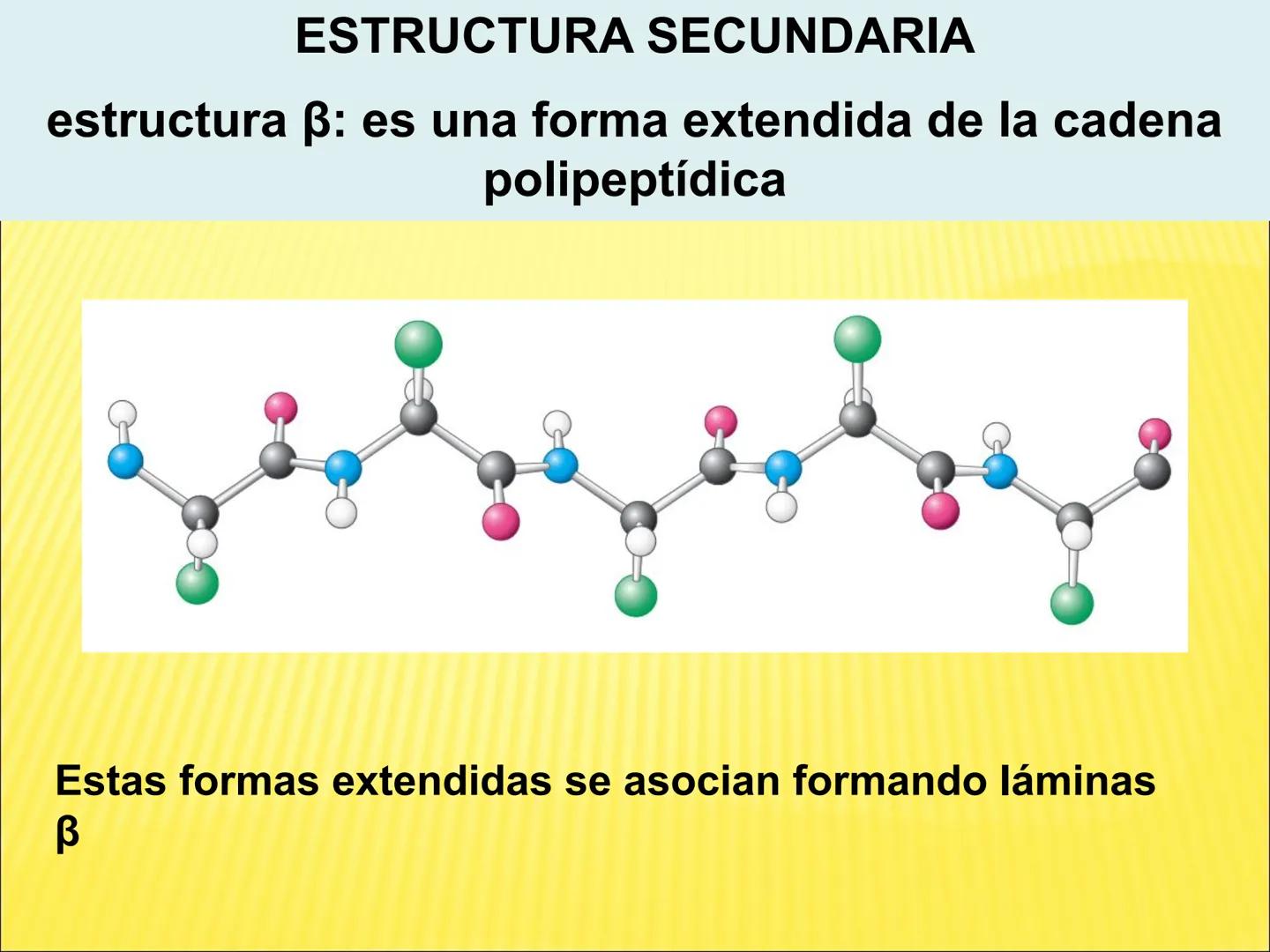 # PROTEÍNAS GENERALIDADES Las proteínas
están formadas por unidades básicas
que corresponden a los aminoácidos, los cuales
se unen entre