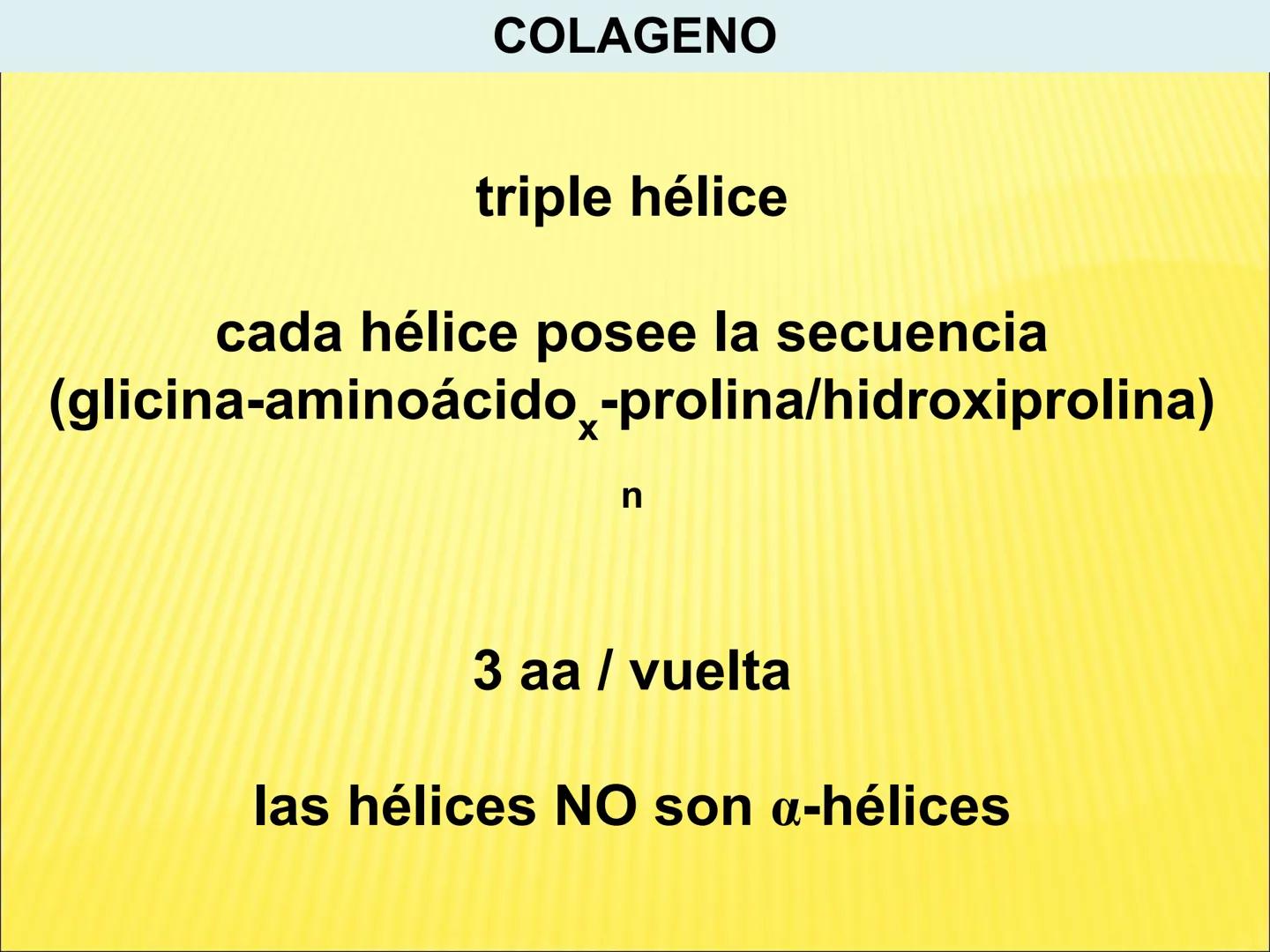 # PROTEÍNAS GENERALIDADES Las proteínas
están formadas por unidades básicas
que corresponden a los aminoácidos, los cuales
se unen entre