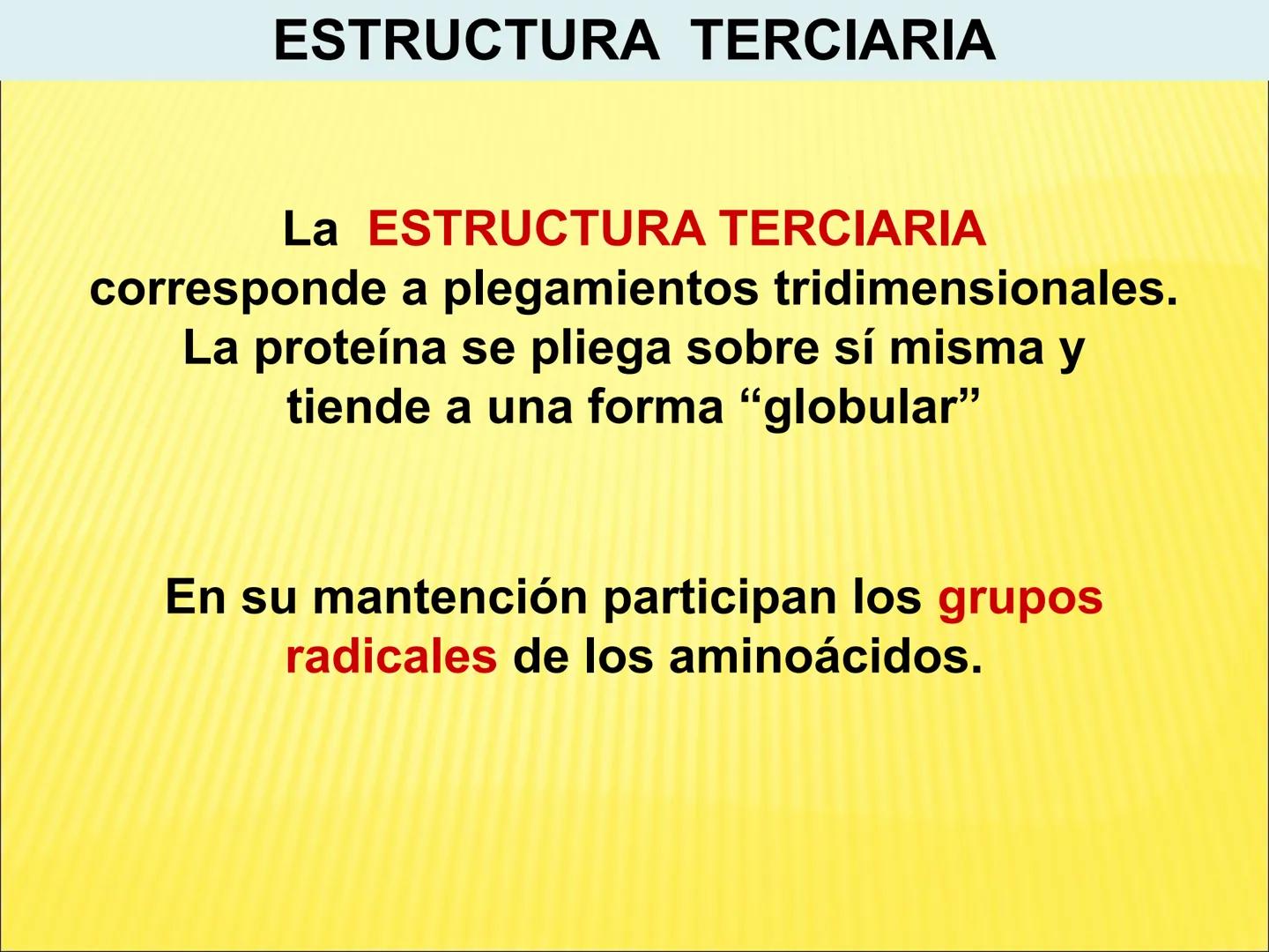 # PROTEÍNAS GENERALIDADES Las proteínas
están formadas por unidades básicas
que corresponden a los aminoácidos, los cuales
se unen entre
