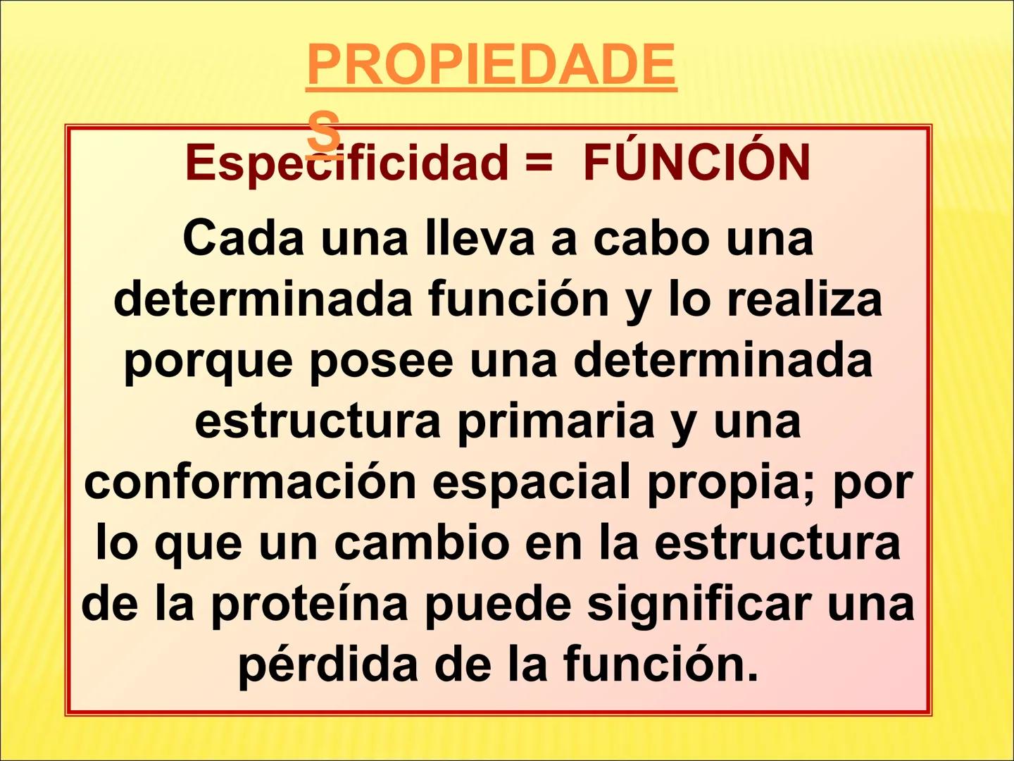 # PROTEÍNAS GENERALIDADES Las proteínas
están formadas por unidades básicas
que corresponden a los aminoácidos, los cuales
se unen entre