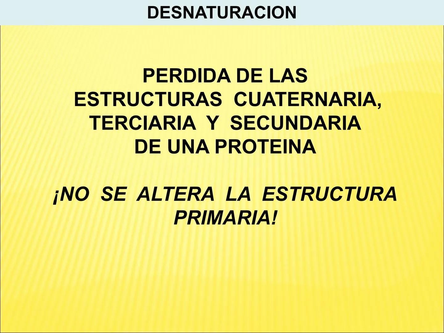 # PROTEÍNAS GENERALIDADES Las proteínas
están formadas por unidades básicas
que corresponden a los aminoácidos, los cuales
se unen entre