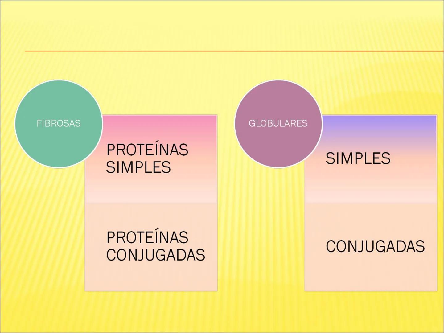 # PROTEÍNAS GENERALIDADES Las proteínas
están formadas por unidades básicas
que corresponden a los aminoácidos, los cuales
se unen entre