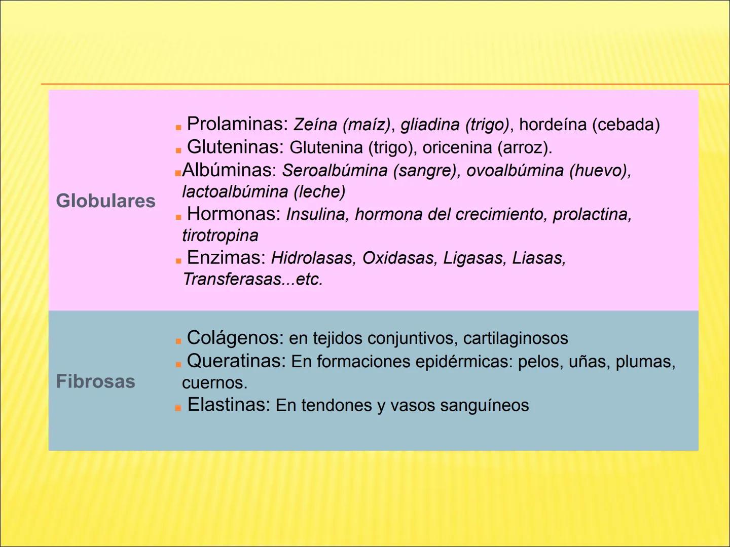 # PROTEÍNAS GENERALIDADES Las proteínas
están formadas por unidades básicas
que corresponden a los aminoácidos, los cuales
se unen entre