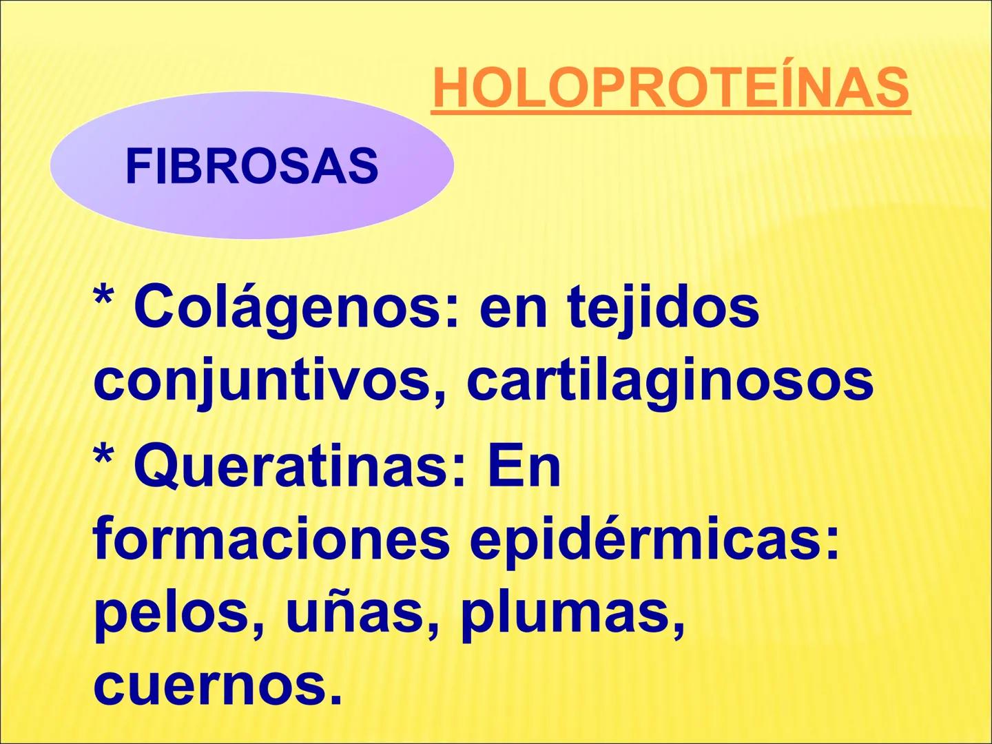 # PROTEÍNAS GENERALIDADES Las proteínas
están formadas por unidades básicas
que corresponden a los aminoácidos, los cuales
se unen entre