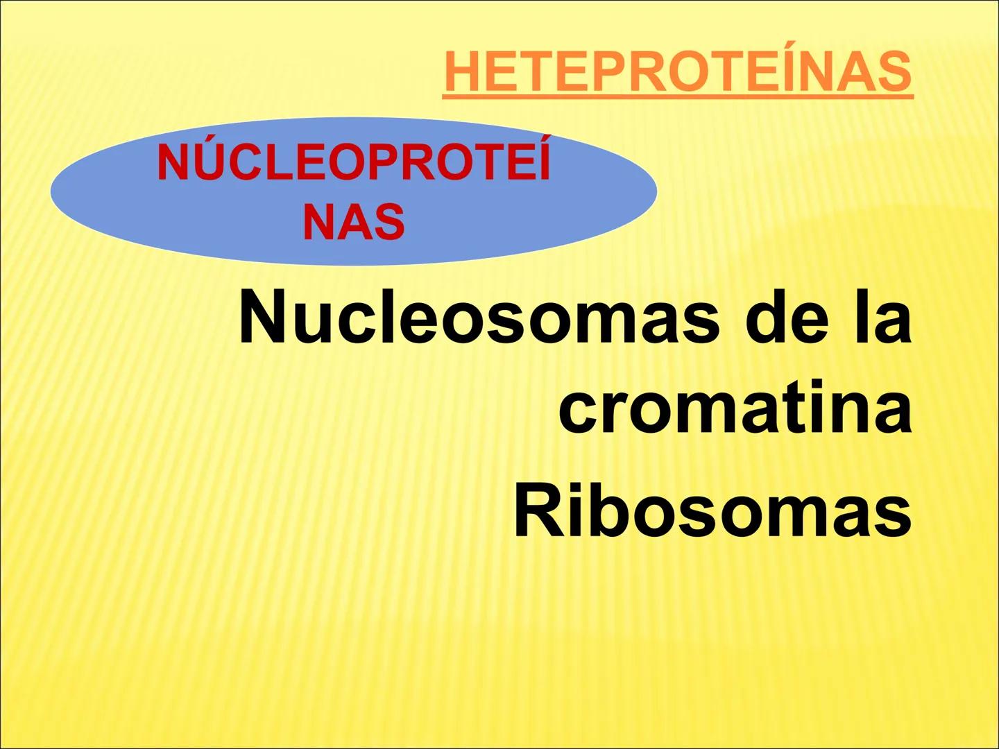 # PROTEÍNAS GENERALIDADES Las proteínas
están formadas por unidades básicas
que corresponden a los aminoácidos, los cuales
se unen entre