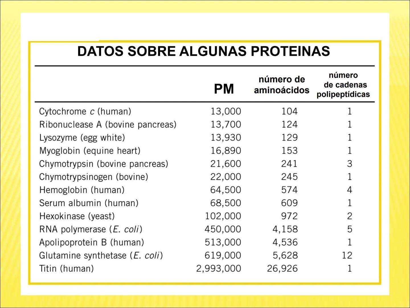 # PROTEÍNAS GENERALIDADES Las proteínas
están formadas por unidades básicas
que corresponden a los aminoácidos, los cuales
se unen entre