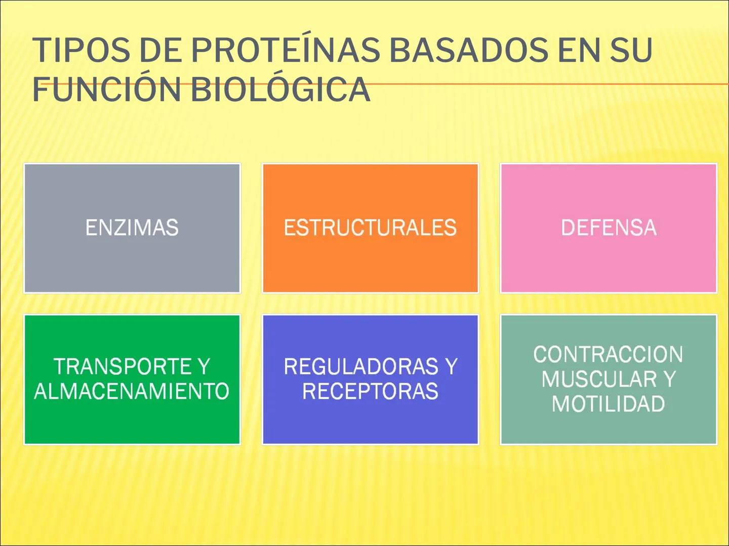 # PROTEÍNAS GENERALIDADES Las proteínas
están formadas por unidades básicas
que corresponden a los aminoácidos, los cuales
se unen entre