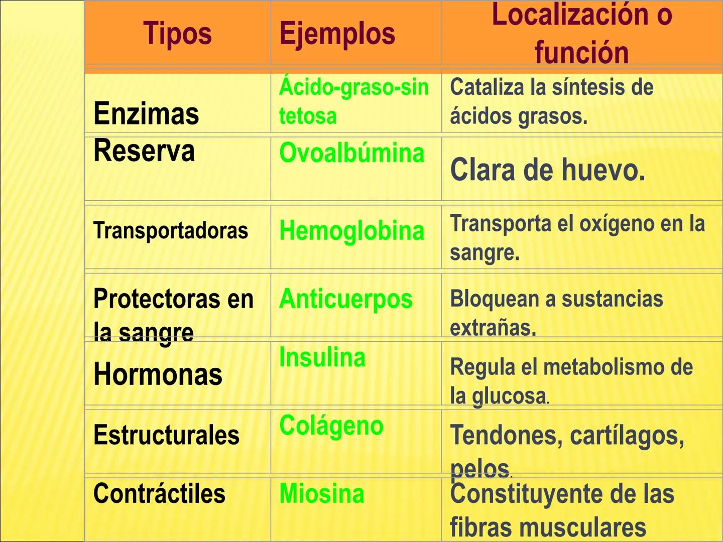 # PROTEÍNAS GENERALIDADES Las proteínas
están formadas por unidades básicas
que corresponden a los aminoácidos, los cuales
se unen entre
