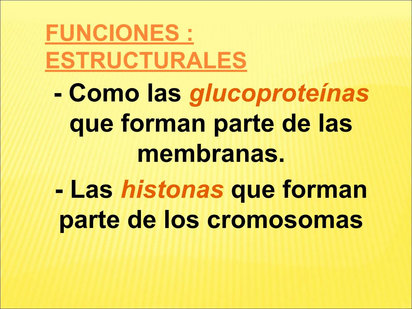 # PROTEÍNAS GENERALIDADES Las proteínas
están formadas por unidades básicas
que corresponden a los aminoácidos, los cuales
se unen entre