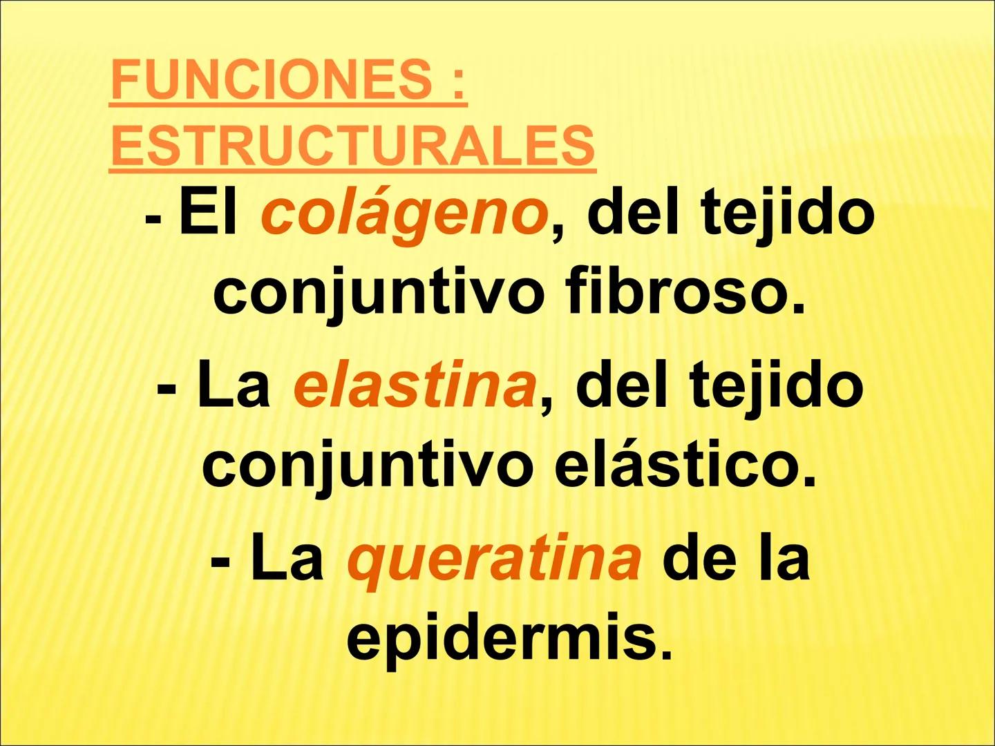 # PROTEÍNAS GENERALIDADES Las proteínas
están formadas por unidades básicas
que corresponden a los aminoácidos, los cuales
se unen entre