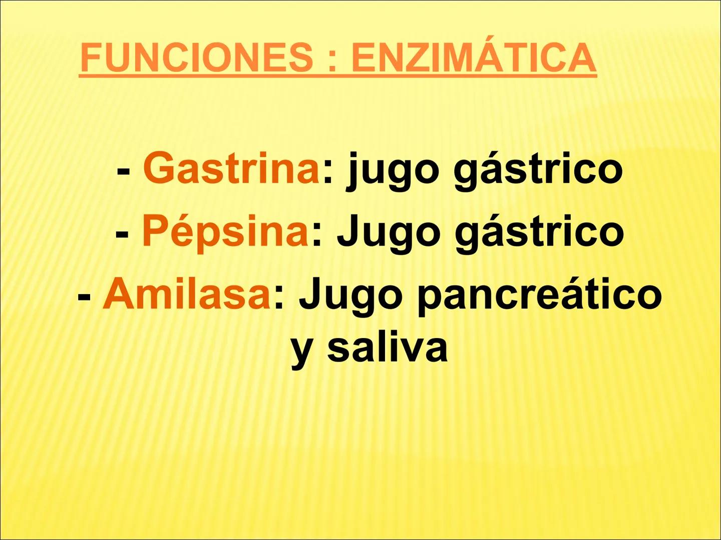 # PROTEÍNAS GENERALIDADES Las proteínas
están formadas por unidades básicas
que corresponden a los aminoácidos, los cuales
se unen entre