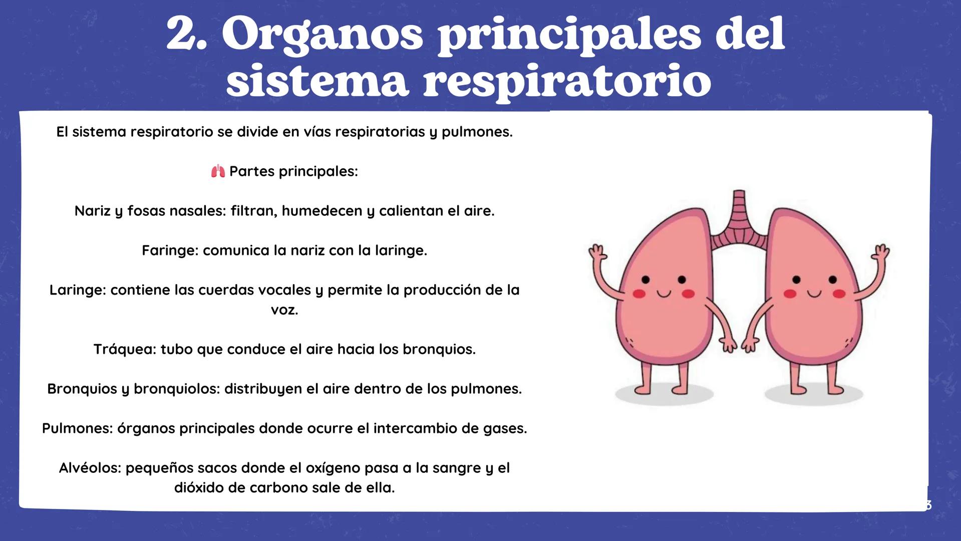 # El Sistema
Respiratorio # 1.Introducción
El sistema respiratorio es el
encargado de permitir que el aire
entre y salga de nuestro cuerpo,