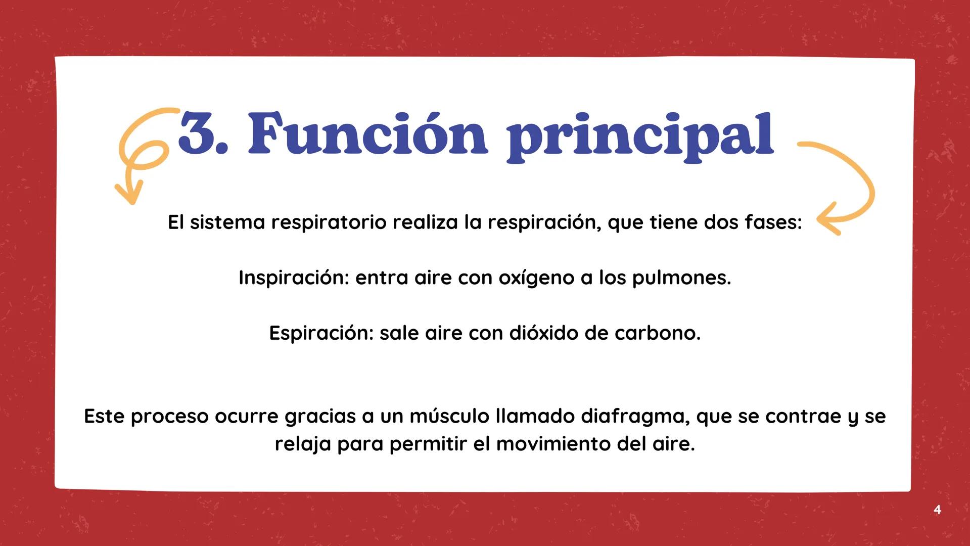 # El Sistema
Respiratorio # 1.Introducción
El sistema respiratorio es el
encargado de permitir que el aire
entre y salga de nuestro cuerpo,