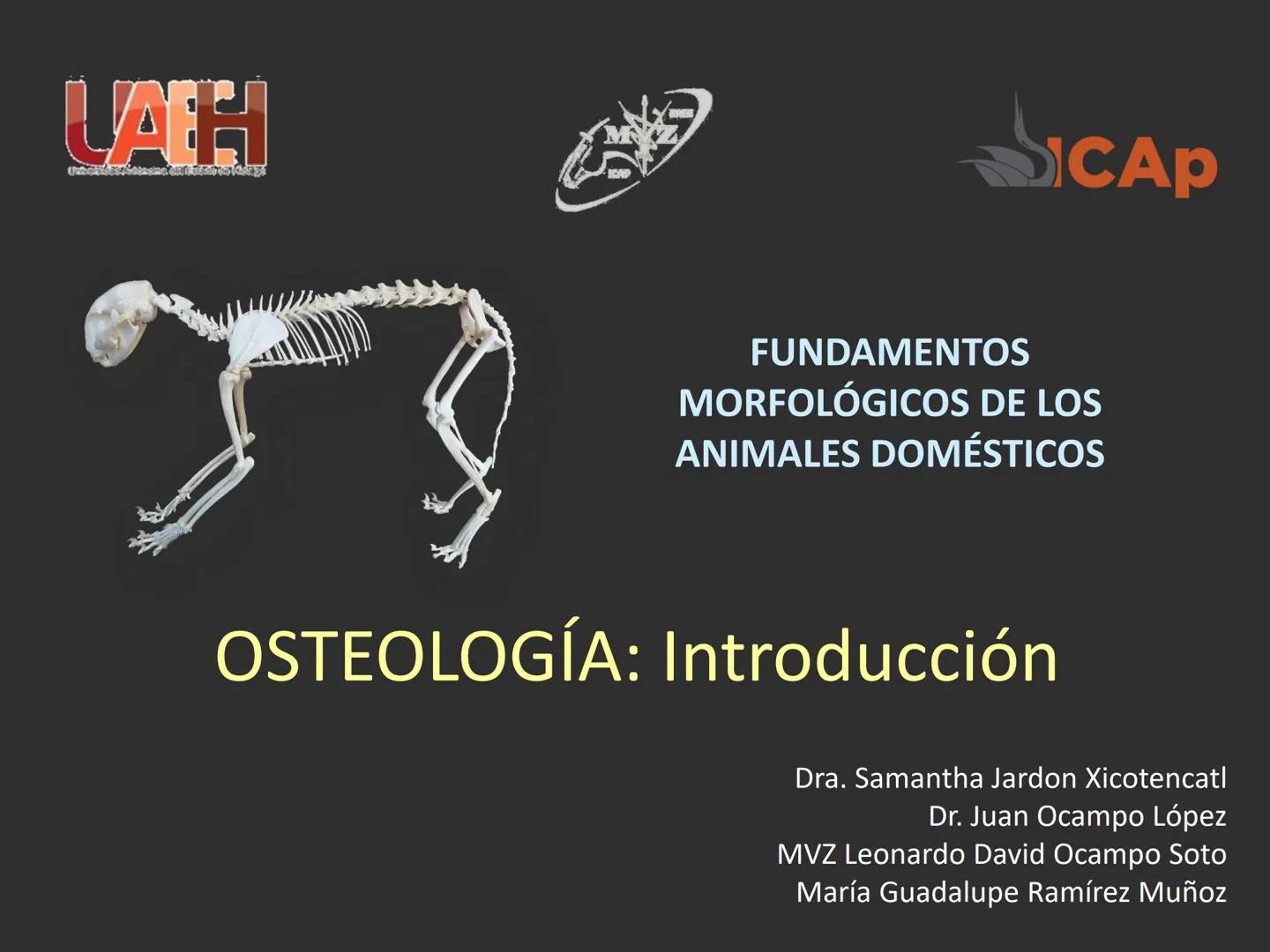 LACH
CAP
FUNDAMENTOS
MORFOLÓGICOS DE LOS
ANIMALES DOMÉSTICOS
OSTEOLOGÍA: Introducción
Dra. Samantha Jardon Xicotencatl
Dr. Juan Ocampo L