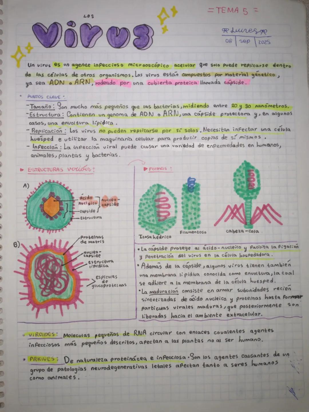 LOS
Virus
Ax
=TEMA 5 =
Lucres
08 sep
2025
Un virus es un agente infeccioso microoscópico aceluiar que solo puede replicarse dentro
de las