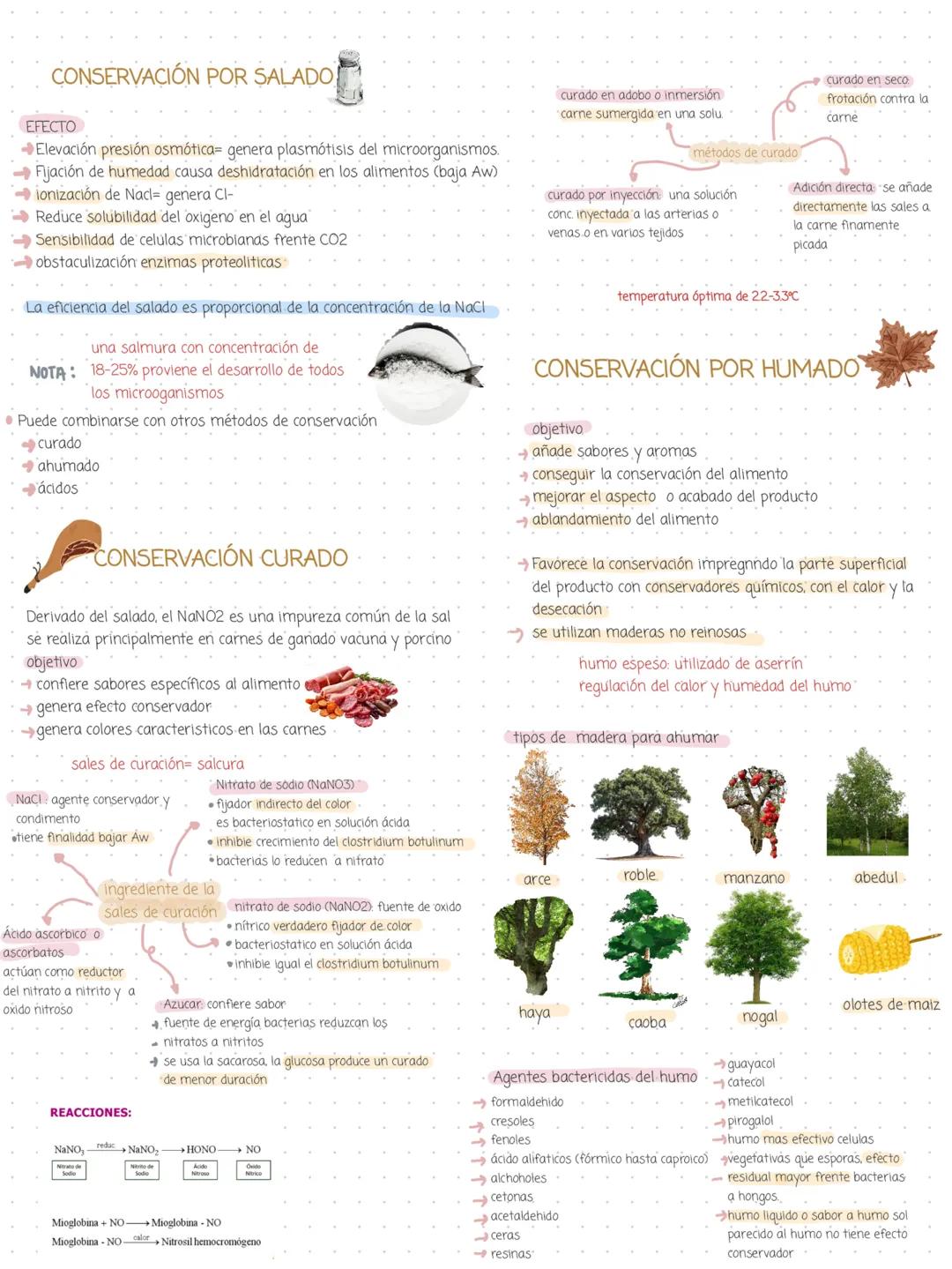 # Conservacion de los
alimentos
Alteración de los alimentos inicio después de:
la cosecha
→ Recolección es suceptible a modificarse
→ Captu