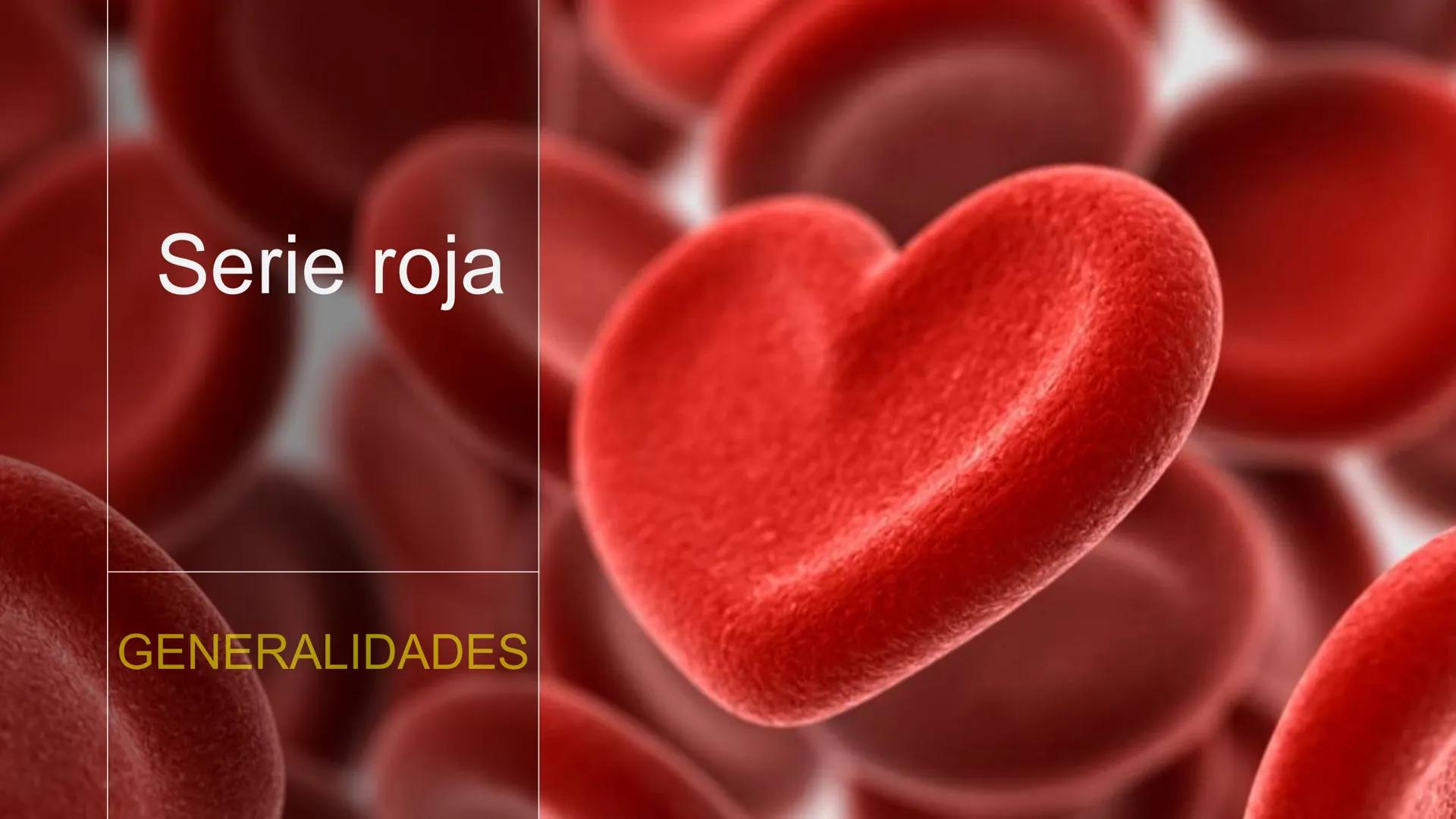 # Serie roja
GENERALIDADES # Eritropoyesis
@atlas_clinico3
Proeritroblasto
@atlas_clinico3
Célula madre
pluripotencial
Eritoblasto Bas