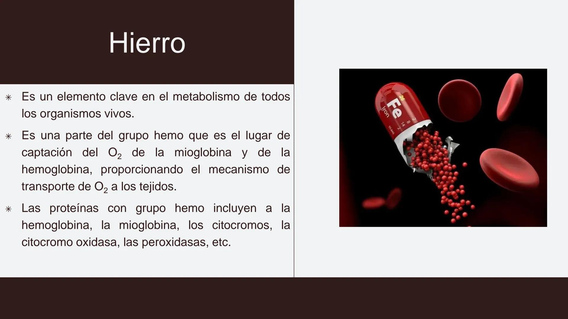 # Serie roja
GENERALIDADES # Eritropoyesis
@atlas_clinico3
Proeritroblasto
@atlas_clinico3
Célula madre
pluripotencial
Eritoblasto Bas