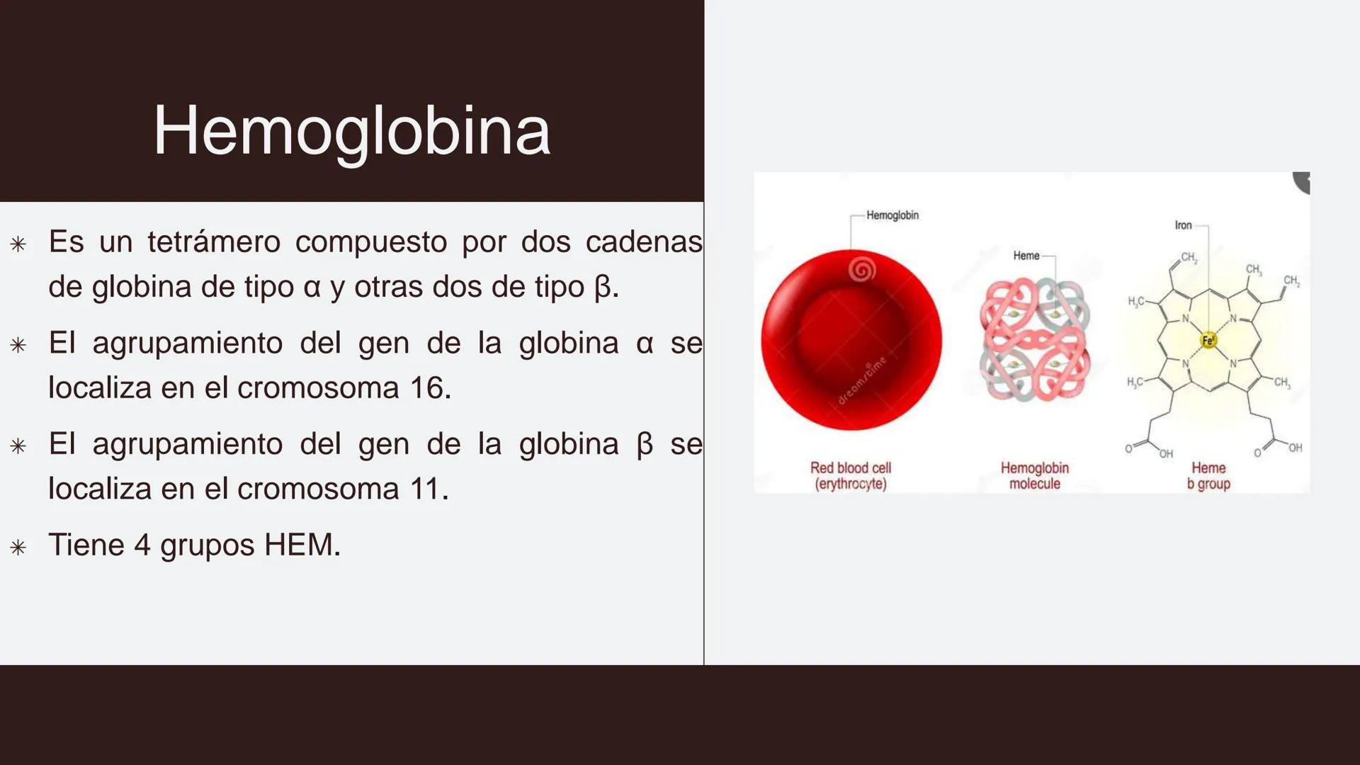 # Serie roja
GENERALIDADES # Eritropoyesis
@atlas_clinico3
Proeritroblasto
@atlas_clinico3
Célula madre
pluripotencial
Eritoblasto Bas