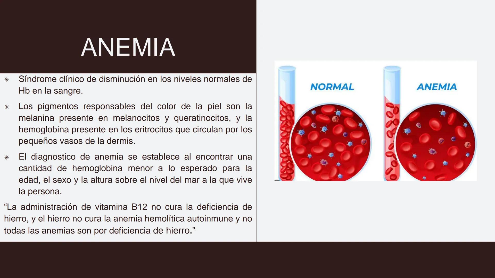# Serie roja
GENERALIDADES # Eritropoyesis
@atlas_clinico3
Proeritroblasto
@atlas_clinico3
Célula madre
pluripotencial
Eritoblasto Bas