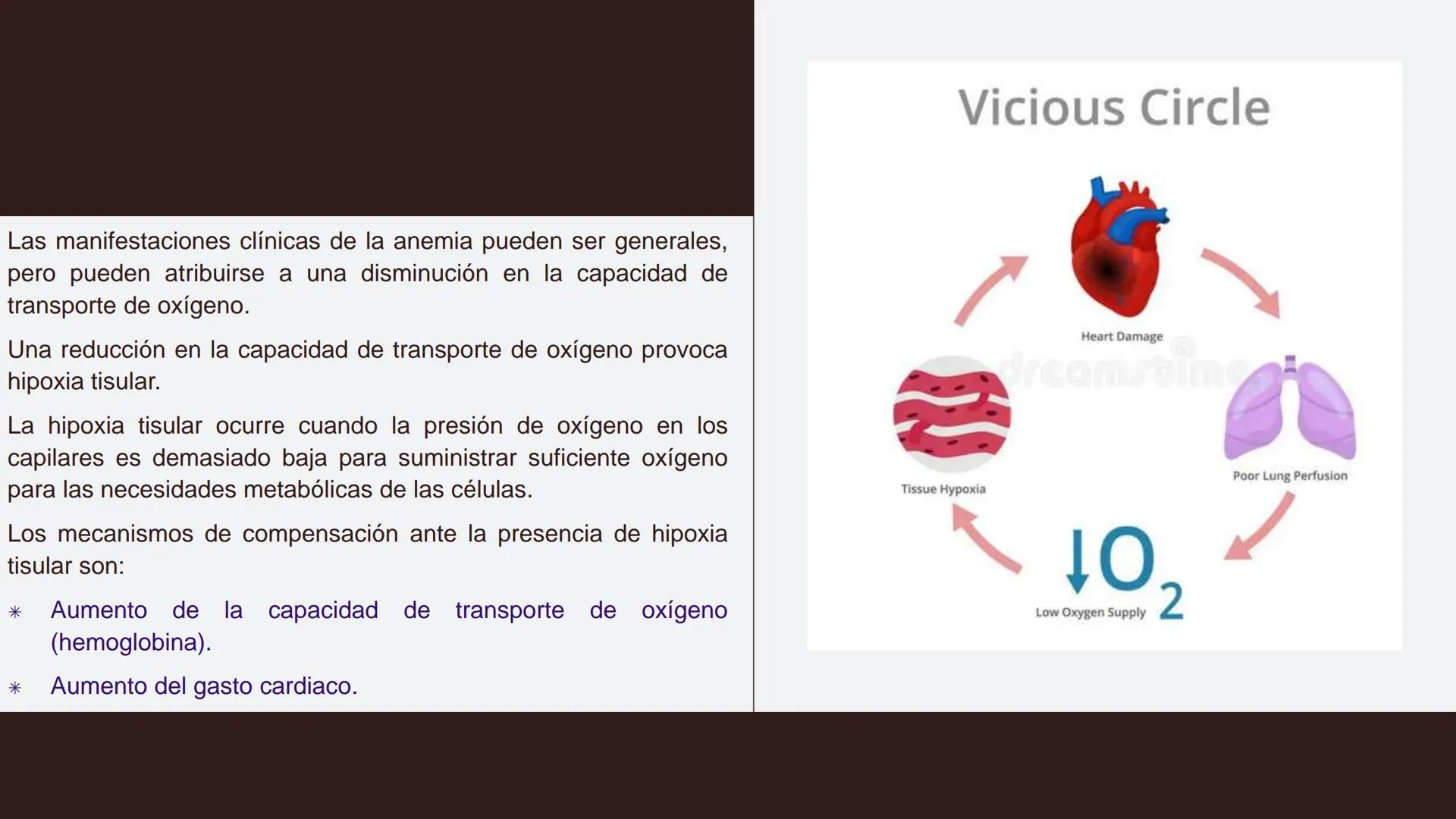 # Serie roja
GENERALIDADES # Eritropoyesis
@atlas_clinico3
Proeritroblasto
@atlas_clinico3
Célula madre
pluripotencial
Eritoblasto Bas