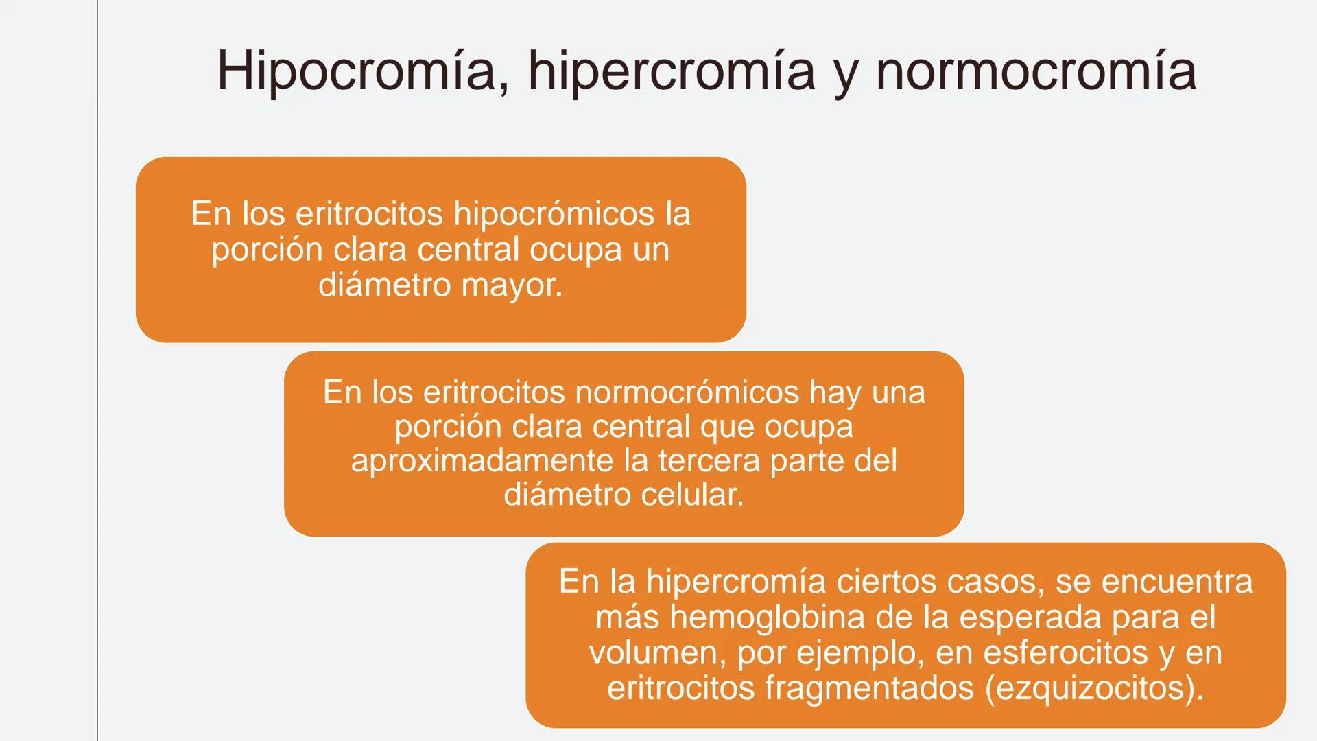 # Serie roja
GENERALIDADES # Eritropoyesis
@atlas_clinico3
Proeritroblasto
@atlas_clinico3
Célula madre
pluripotencial
Eritoblasto Bas