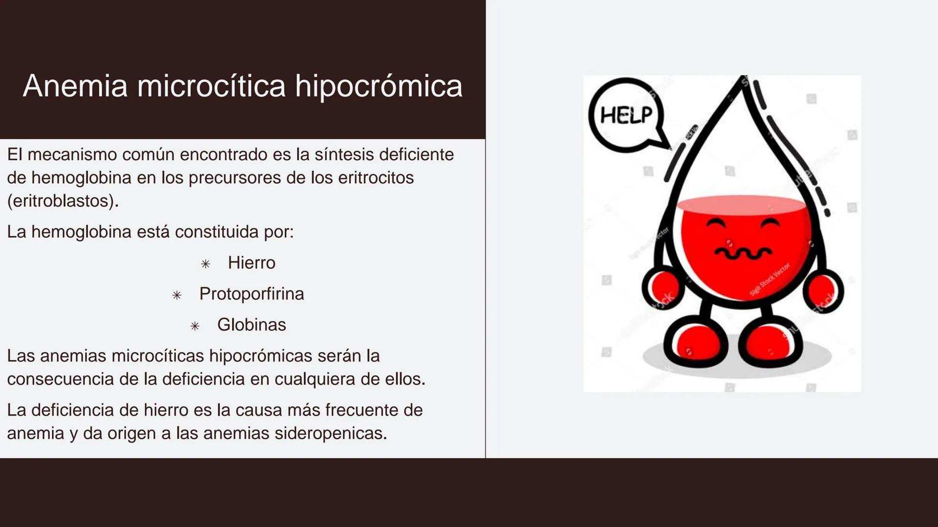 # Serie roja
GENERALIDADES # Eritropoyesis
@atlas_clinico3
Proeritroblasto
@atlas_clinico3
Célula madre
pluripotencial
Eritoblasto Bas